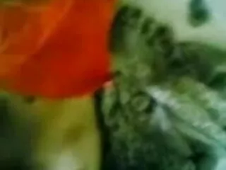 मैंने सिर्फ अपनी पत्नी की माँ इंग्लिश मूवी सेक्सी की चुदाई की!