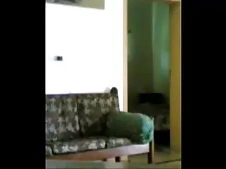 सेक्सी युवा