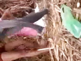 आसमानी इंग्लिश मूवी सेक्सी वीडियो काला