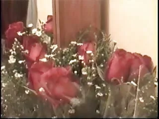 Slutty पार्टी लड़कियों क्लब में लंड चूसने इंग्लिश सेक्सी मूवी दिखाओ