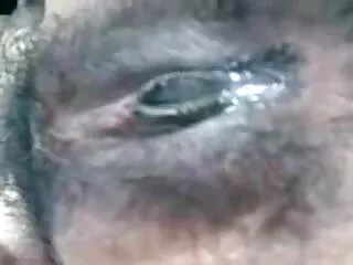 हैंडजोब इंग्लिश सेक्सी मूवी हिंदी में जर्कथॉन